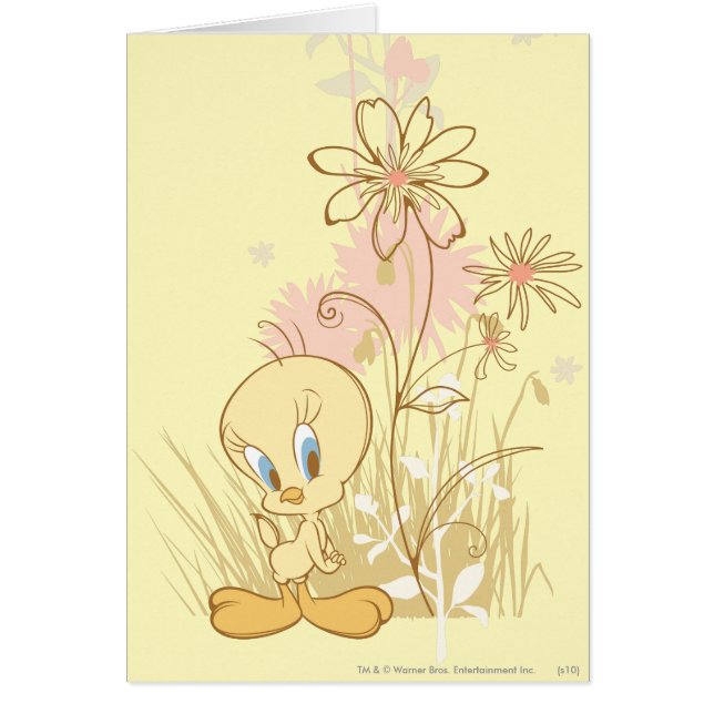Tweety "Just So Perfect" (Devant)