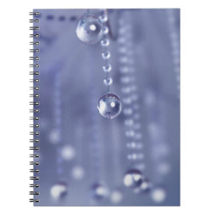 Twilight dans le Carnet de cristal