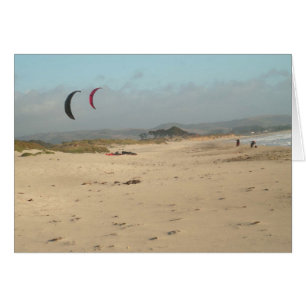 Twin Kites