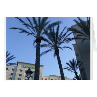 Twin Palms California Vacances