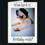 **TWIN*** ST. BERNARD SENDS "HUGE" BIRTHDAY WISHES<br><div class="desc">He is ready to say ***HAPPY BIRTHDAY WISHES TO YOUR TWIN*** in an *EXTREMELY HUGE** way AND he is so CUTE too!!!!</div>