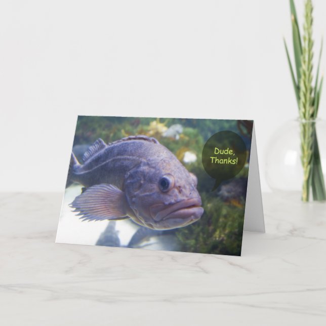 Type, carte merci (Devant)