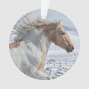 Tyr tourne dans l'ornement de neige