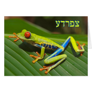 Tzefardea En Hébreu Signifiant "Grenouille"