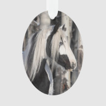 Tzigane dans la forêt Ornament de Hoofbeats sauvag