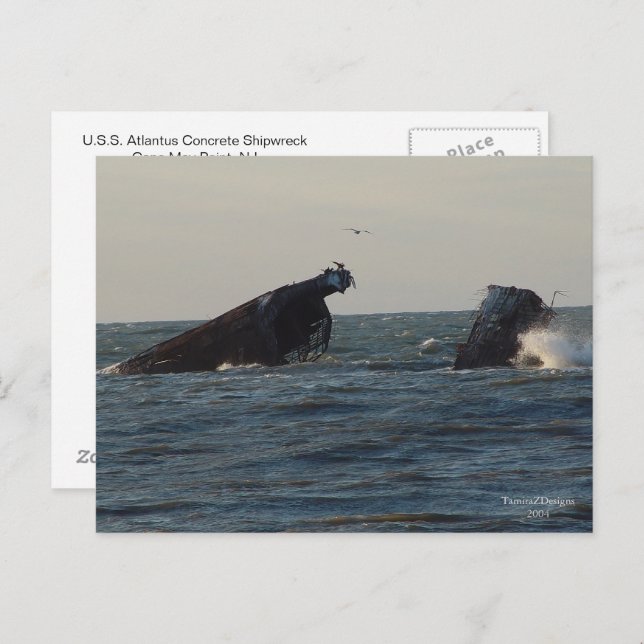 U.S.S. Atlantus Concrete Shipwreck, carte postale  (Devant / Derrière)