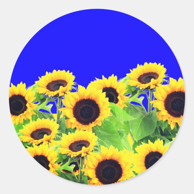 Ukraine Drapeau couleurs Stickers Tournesols - Lib (Devant)