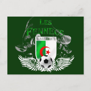 Ultra Cool Les Fennecs Algerie Cartes postales