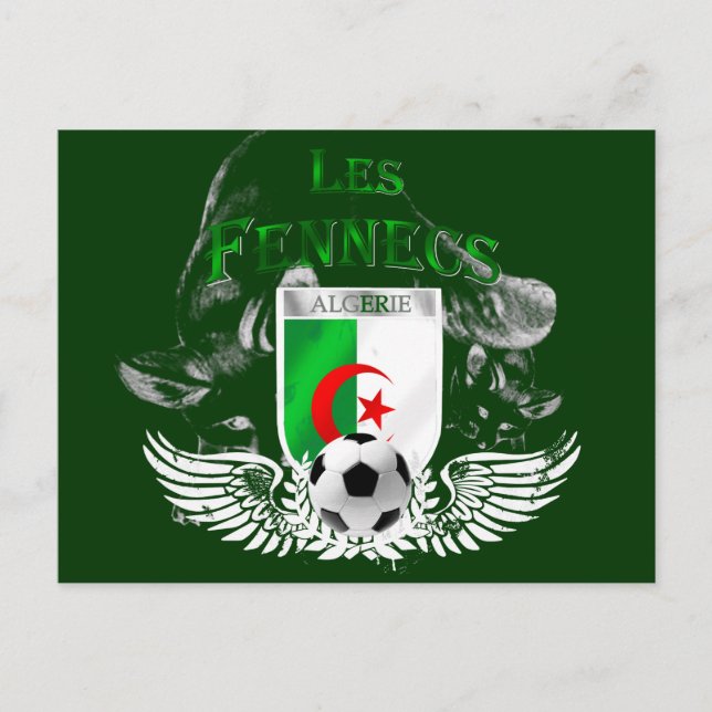 Ultra Cool Les Fennecs Algerie Cartes postales (Devant)