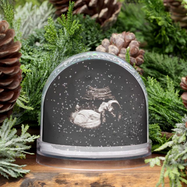 Ultrasonic Snow Globe (Hiver)