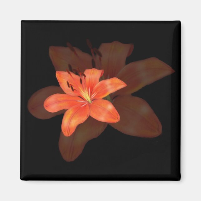 Un aimant Lily solitaire (Devant)