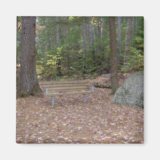 Un aimant pour réfléchir