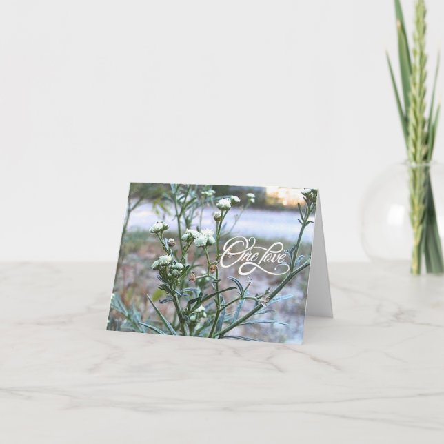Un amour, Fleur sauvage blanc, carte blanche d'art (Devant)