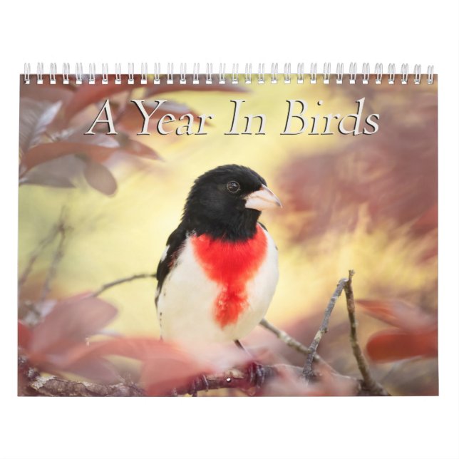 Un An Dans Le Calendrier Des Oiseaux (Protection)