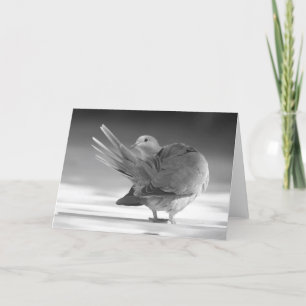 Un ange dans la carte du ciel I