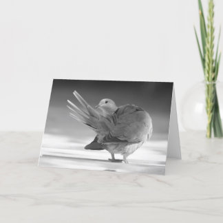 Un ange dans la carte du ciel I