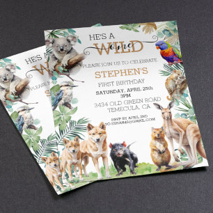 Un animal sauvage australien un anniversaire Kanga