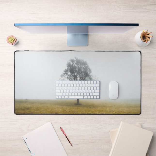 Un arbre solitaire dans un matin d'automne brumeux (Bureau 1)