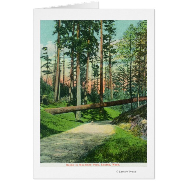 Un arbre tombé sur la scène du parc Woodland (Devant)