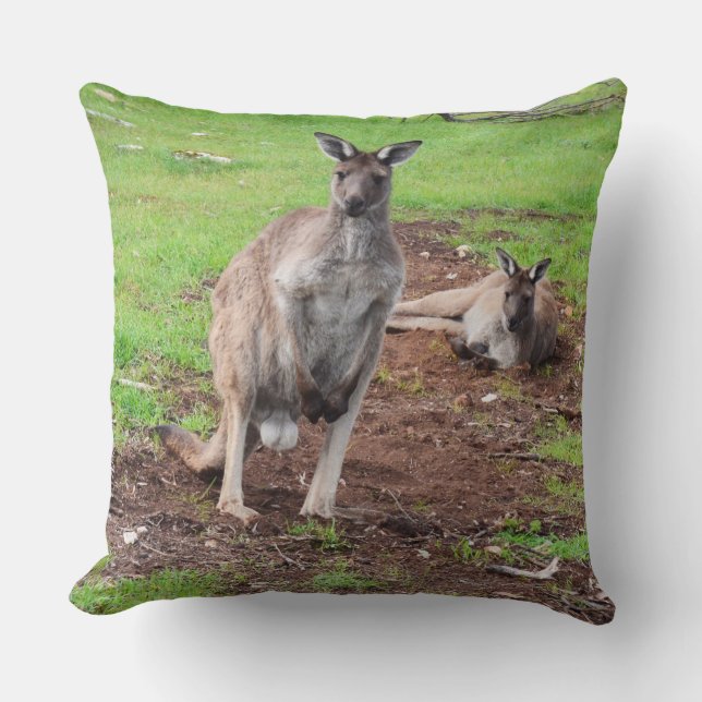 Un Australien Buck Kangaroo Gros Coussin À Throw. (Recto)