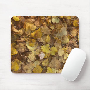 Un automne glorieux sur un tapis de souris (4)