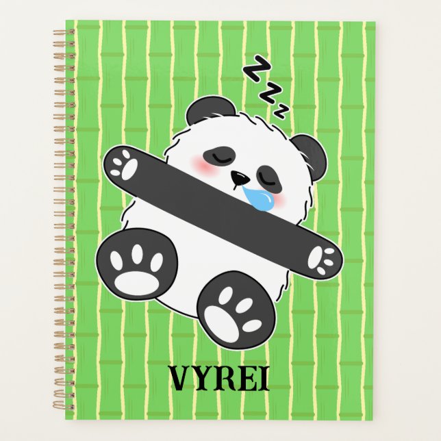 Un bébé panda mignon dormant paisiblement (Devant)