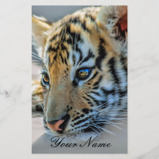 Un bébé tigre mignon