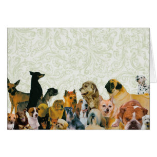 Un bon nombre de carte de collage de chiens