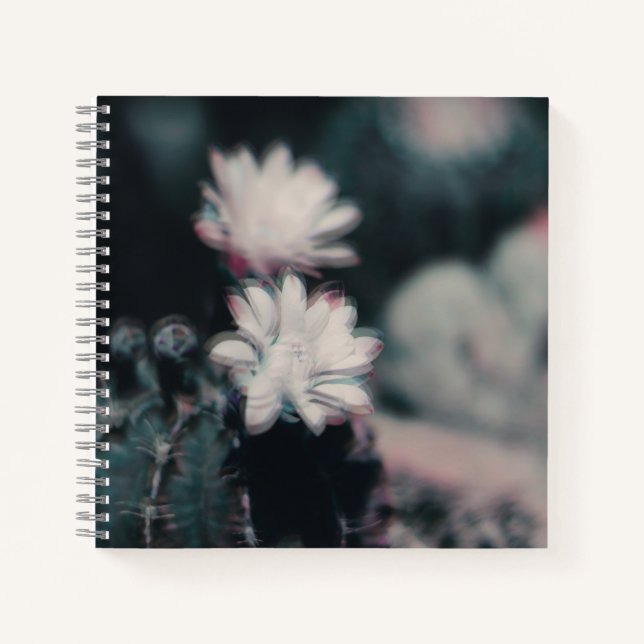 Un cahier (Devant)