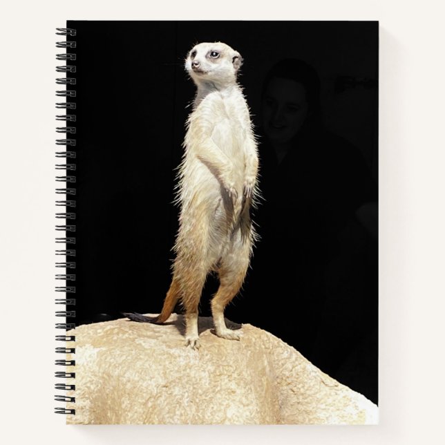 Un cahier suricate excentrique (Devant)