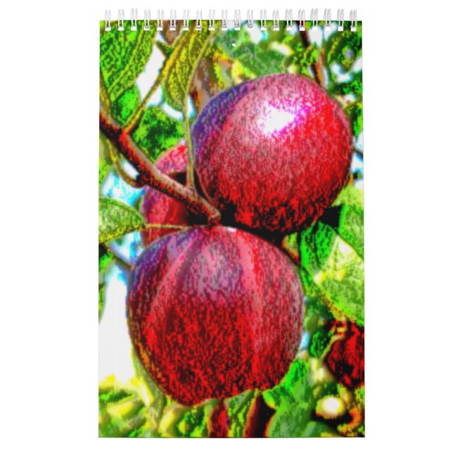 Un calendrier de fin gourmet (Protection)