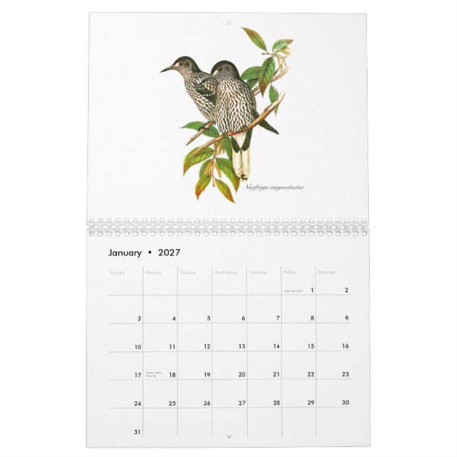 Un calendrier des painitings d'oiseau de John (Jan 2027)