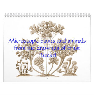 Un calendrier des plantes et des animaux