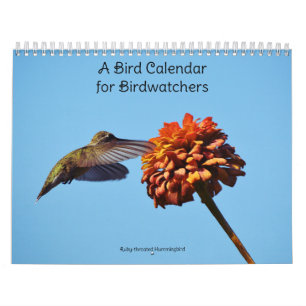 Un calendrier d'oiseaux pour les ornithologues