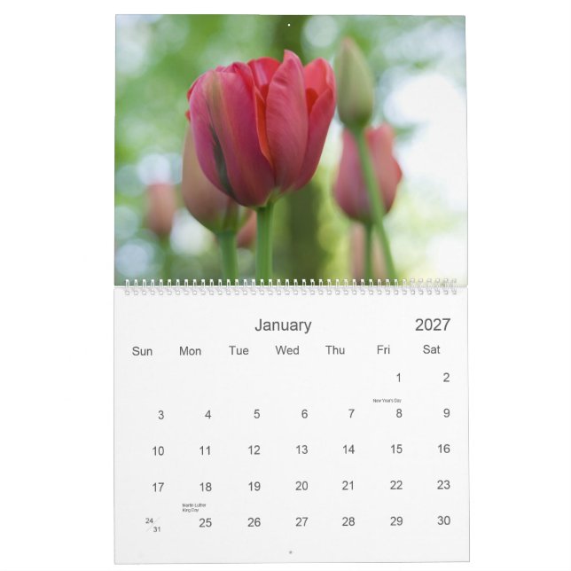 Un calendrier du jardin 2009 de tulipe (Jan 2027)