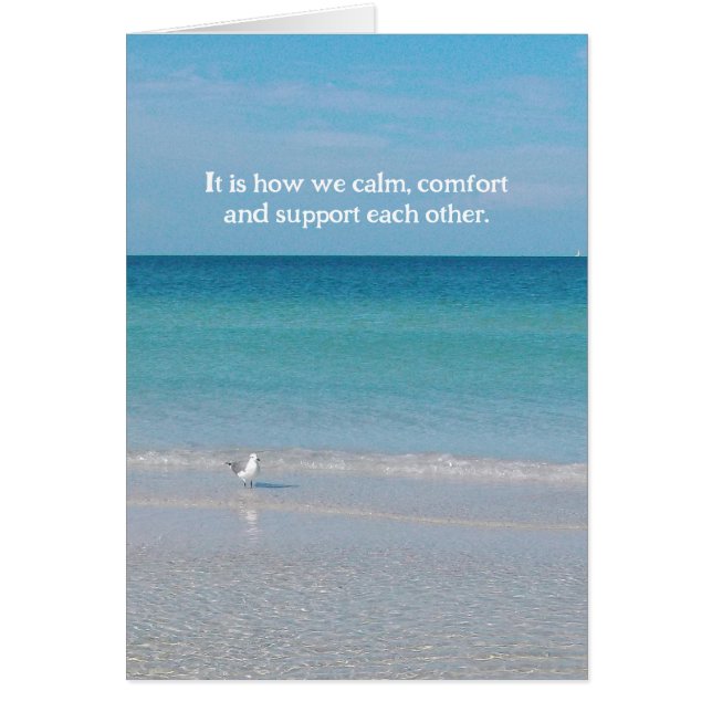 Un câlin...... (Devant)