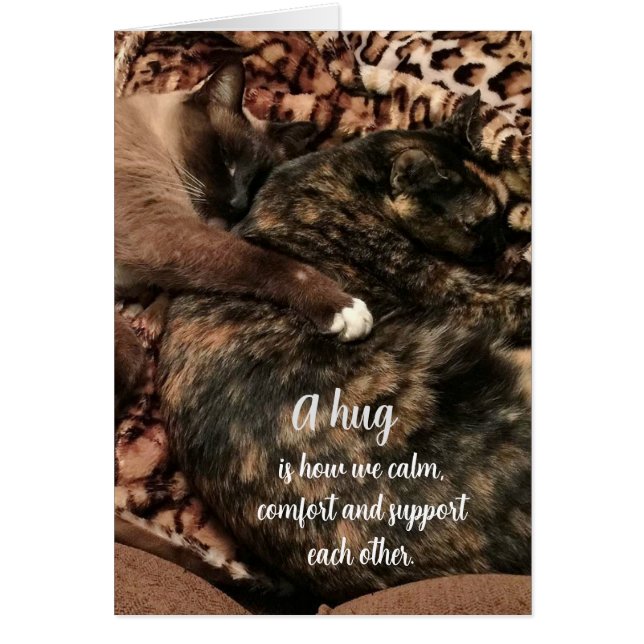 "Un câlin..................." (Devant)