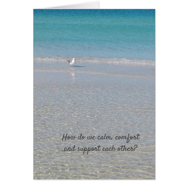 "Un câlin..................." (Devant)