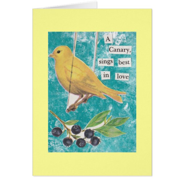 Un canari, chante mieux dans l'amour (Devant)