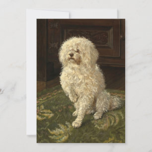 Un caniche sur une moquette verte   George L. Harr