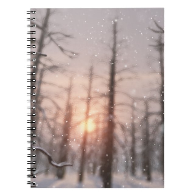 Un Carnet de rêve pour une nuit d'hiver (Devant)