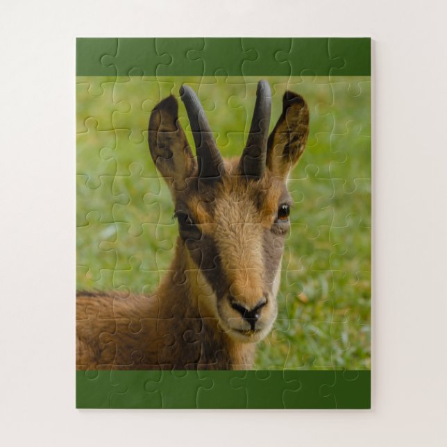 un chamois alpin au puzzle (Vertical)