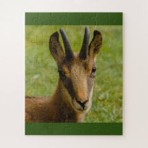 un chamois des Alpes sur puzzle