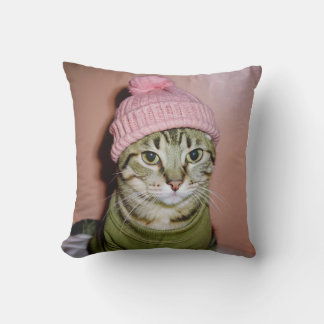 un chat dans un coussin beanie