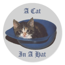 Un chat dans un Sticker Casquette