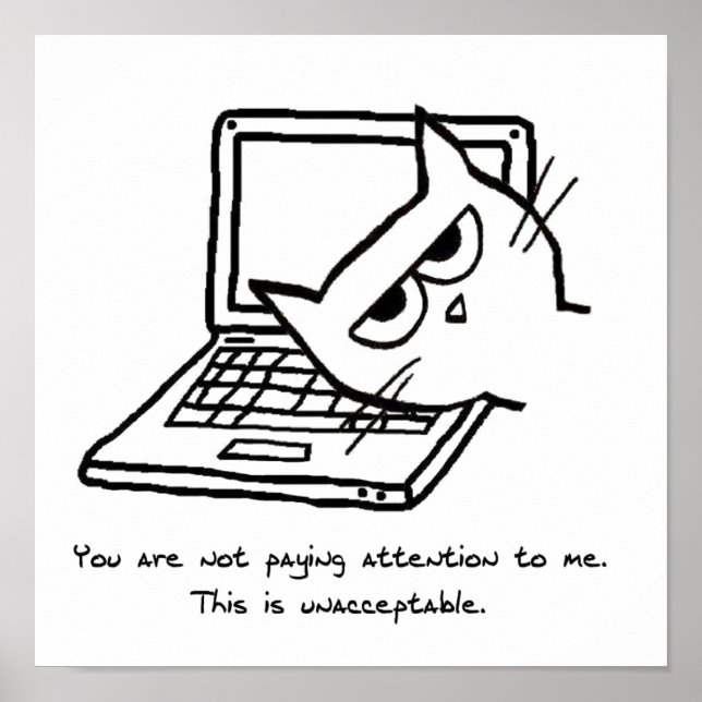 Un chat en colère demande de l'attention - Poster  (Devant)