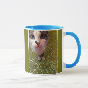 Un Chat Peut Voir Une Tasse Roi Amusante