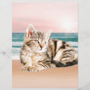 Un chat rayé plus mignon assis sur la plage au cou