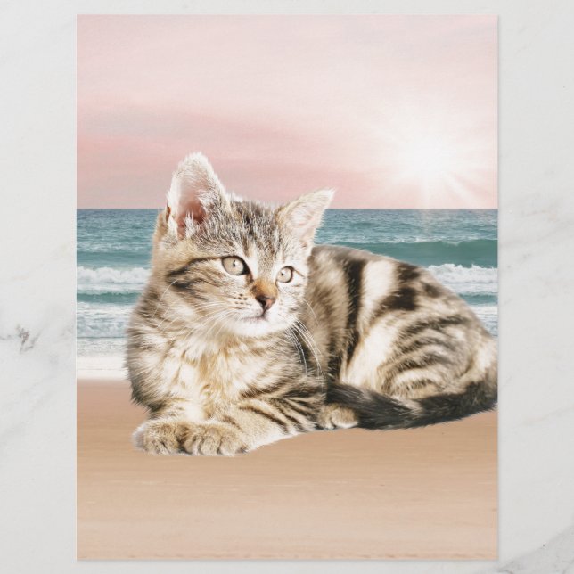 Un chat rayé plus mignon assis sur la plage au cou (Devant)