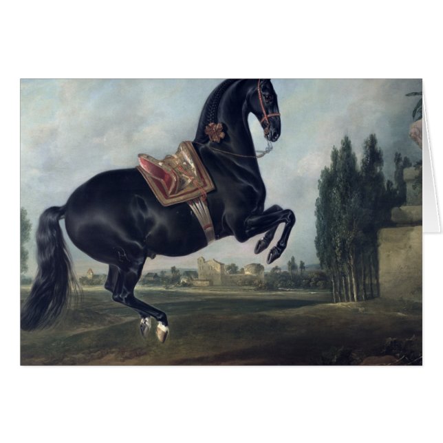 Un cheval noir exécutant le Courbette (Devant horizontal)